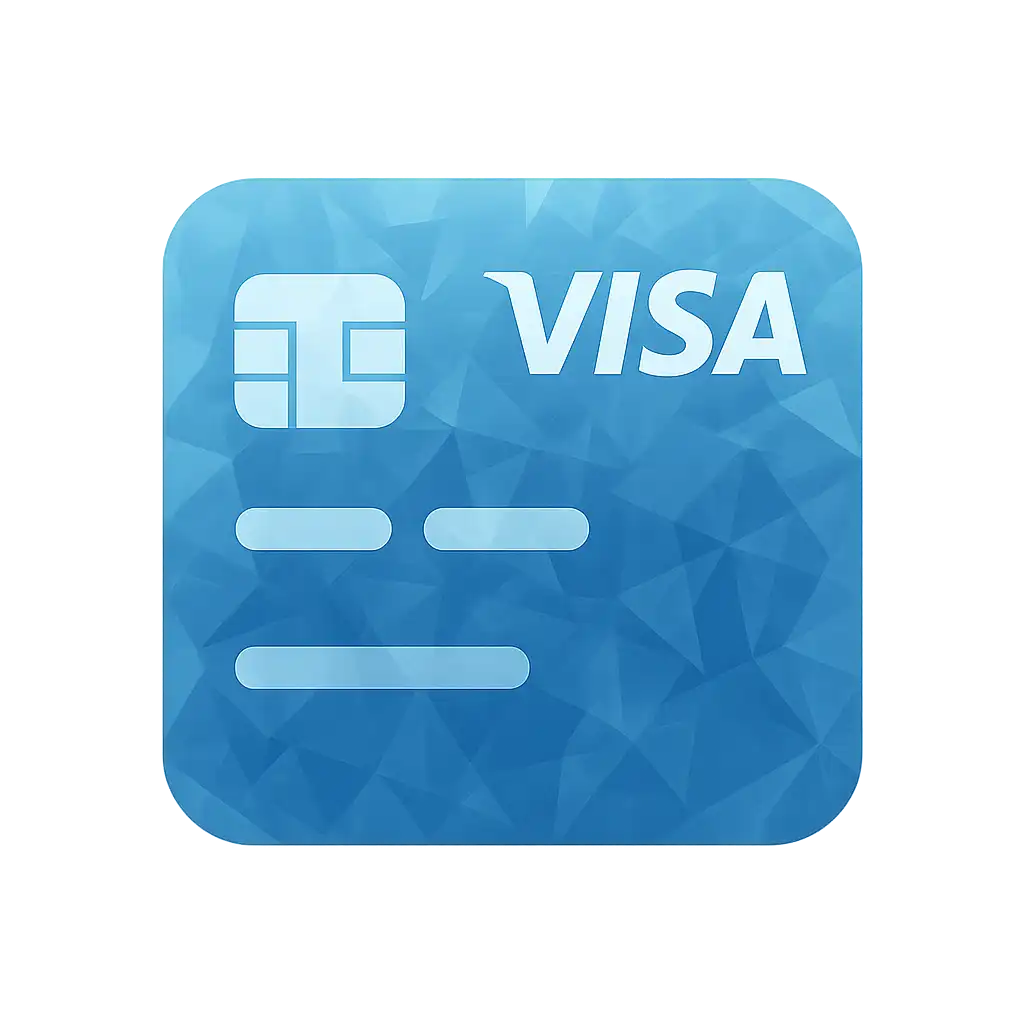 Visa payment icon